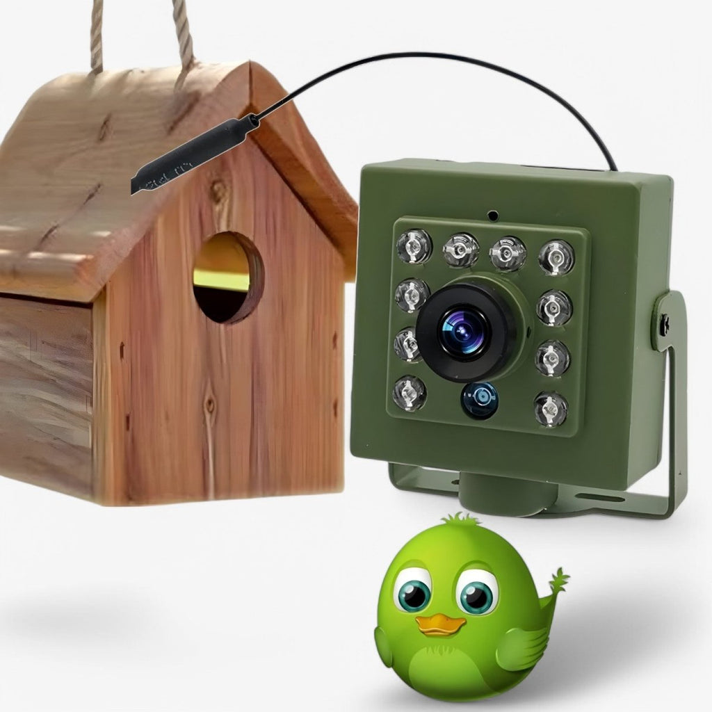 1080p HD weatherproof wildlife camera with night vision, motion detection, and remote access - My Good Buys - 1080p HD weatherproof wildlife camera with night vision, motion detection, and remote access