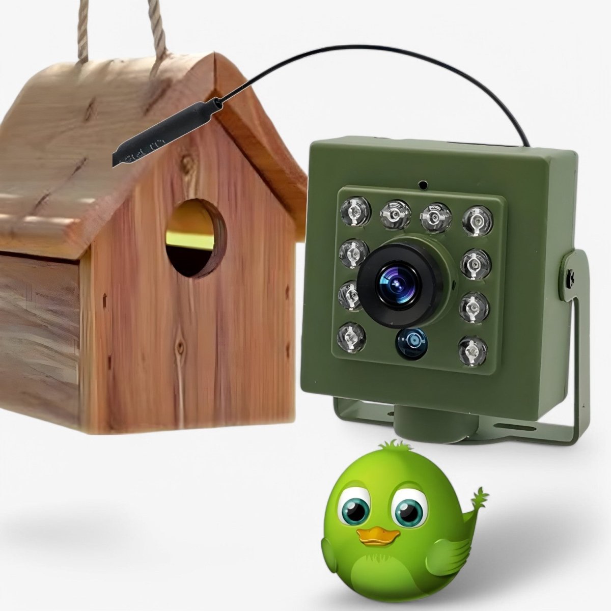 1080p HD weatherproof wildlife camera with night vision, motion detection, and remote access - My Good Buys - 1080p HD weatherproof wildlife camera with night vision, motion detection, and remote access