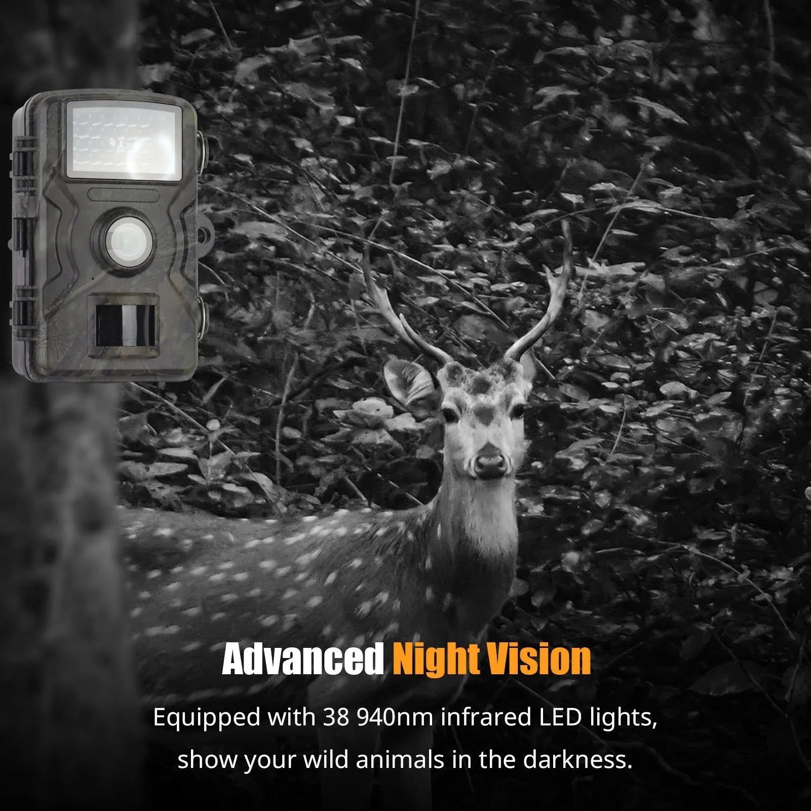 1080P Night Vision Trail Camera - My Good Buys - 1080P Night Vision Trail Camera