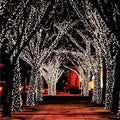 17-Meter String of 100 Led Solar-Powered Fairy Lights - My Good Buys - 17-Meter String of 100 Led Solar-Powered Fairy Lights
