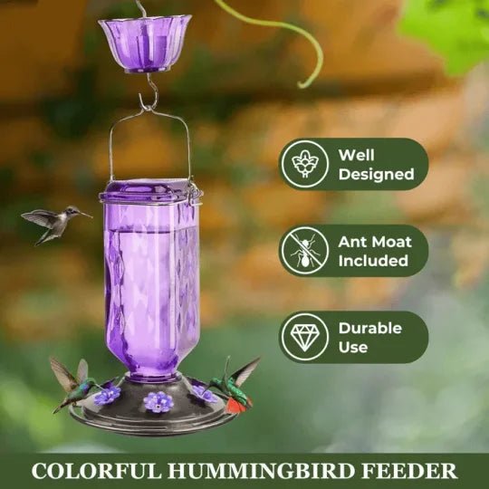 24oz Leak Proof Glass Hummingbird Feeder - My Good Buys - 24oz Leak Proof Glass Hummingbird Feeder