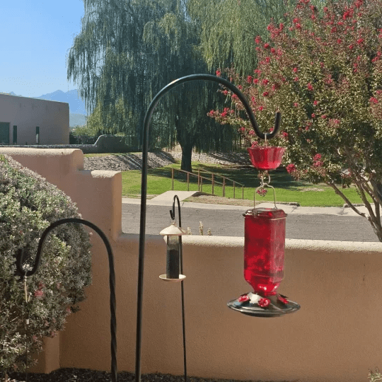 24oz Leak Proof Glass Hummingbird Feeder - My Good Buys - 24oz Leak Proof Glass Hummingbird Feeder