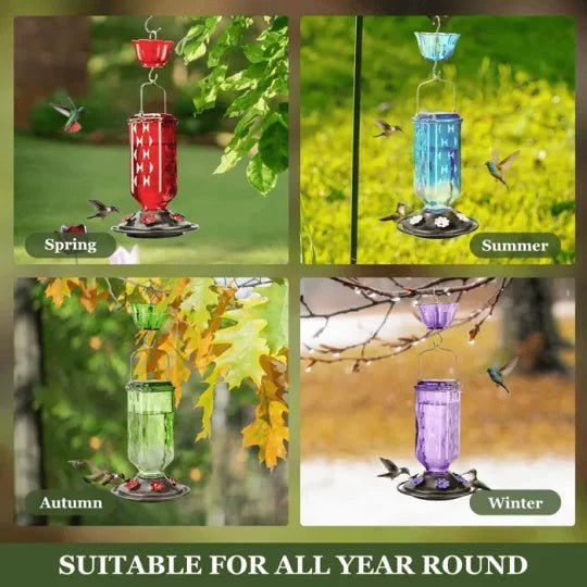24oz Leak Proof Glass Hummingbird Feeder - My Good Buys - 24oz Leak Proof Glass Hummingbird Feeder
