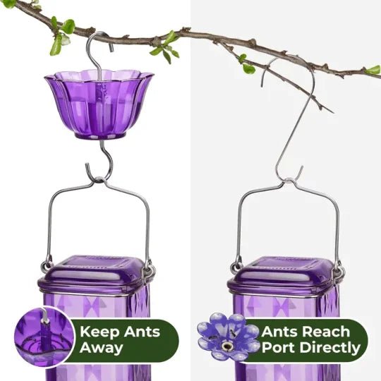 24oz Leak Proof Glass Hummingbird Feeder - My Good Buys - 24oz Leak Proof Glass Hummingbird Feeder