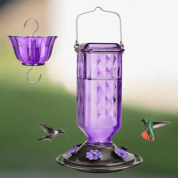 24oz Leak Proof Glass Hummingbird Feeder - My Good Buys - 24oz Leak Proof Glass Hummingbird Feeder