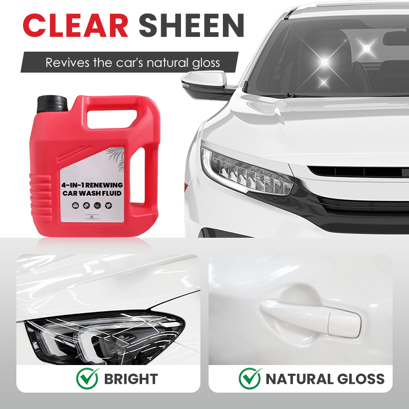 4-in-1 Renewing Car Wash Fluid - My Good Buys - 4-in-1 Renewing Car Wash Fluid