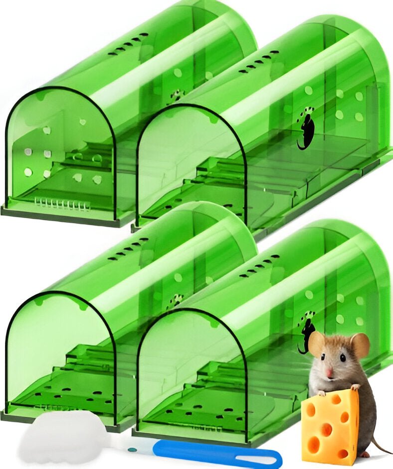4-Pack Mouse Trap - My Good Buys - 4-Pack Mouse Trap