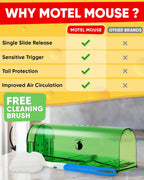 4-Pack Mouse Trap - My Good Buys - 4-Pack Mouse Trap