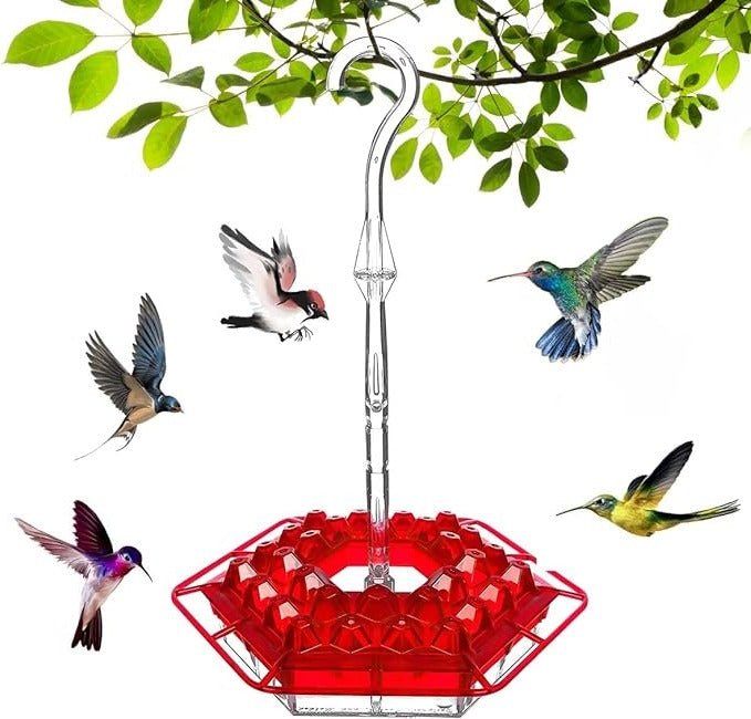 Ant Proof Hummingbird Feeder Outdoor Hanging Perch - My Good Buys - Ant Proof Hummingbird Feeder Outdoor Hanging Perch