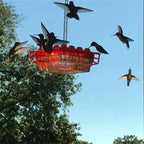Ant Proof Hummingbird Feeder Outdoor Hanging Perch - My Good Buys - Ant Proof Hummingbird Feeder Outdoor Hanging Perch