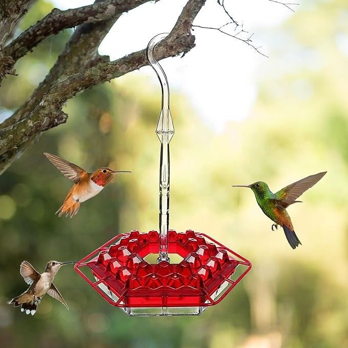 Ant Proof Hummingbird Feeder Outdoor Hanging Perch - My Good Buys - Ant Proof Hummingbird Feeder Outdoor Hanging Perch