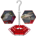 Ant Proof Hummingbird Feeder Outdoor Hanging Perch - My Good Buys - Ant Proof Hummingbird Feeder Outdoor Hanging Perch