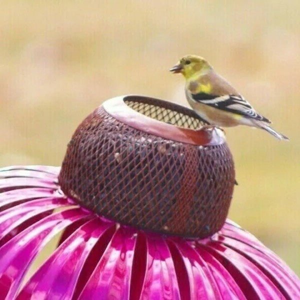 Coneflower Bird Feeder - My Good Buys - Coneflower Bird Feeder