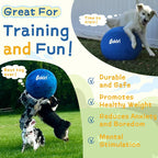 Dog Herding Ball — Push & Chase Exercise Toy for Active Dogs - My Good Buys - Dog Herding Ball — Push & Chase Exercise Toy for Active Dogs
