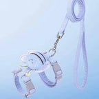 Cat Collar And Harness