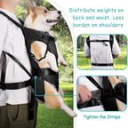 Dog Carrying Backpack