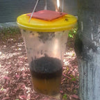 Eco-Friendly Disposable Fly Trap Outdoor Bag - My Good Buys - Eco-Friendly Disposable Fly Trap Outdoor Bag