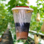 Eco-Friendly Disposable Fly Trap Outdoor Bag - My Good Buys - Eco-Friendly Disposable Fly Trap Outdoor Bag
