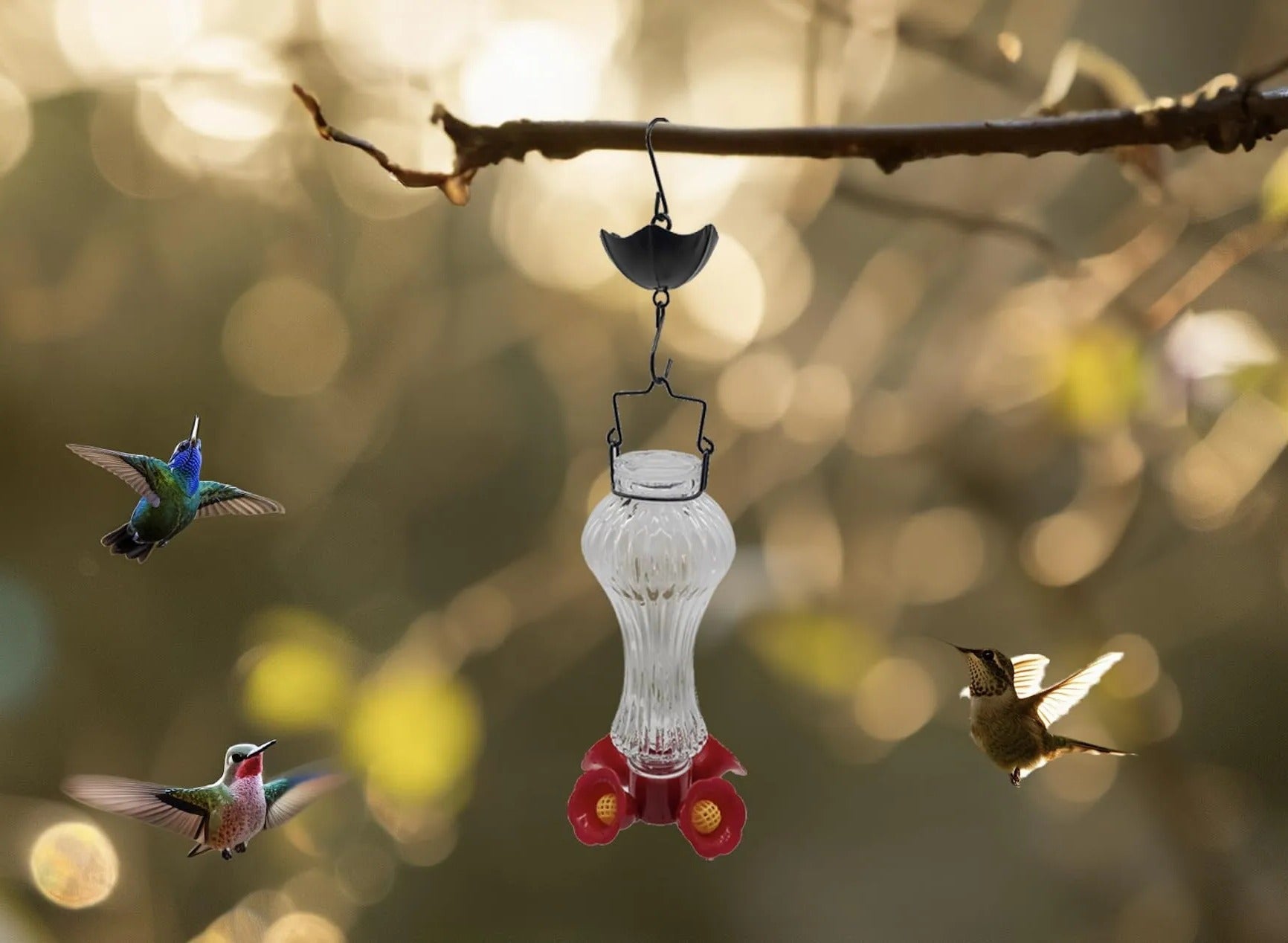 Flowers Glass Hummingbird Feeder With Ant Moat - My Good Buys - Flowers Glass Hummingbird Feeder With Ant Moat