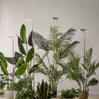 Grow Light For Indoor Plants - My Good Buys - Grow Light For Indoor Plants