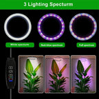 Grow Light For Indoor Plants - My Good Buys - Grow Light For Indoor Plants