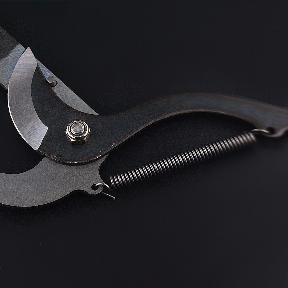 High-Altitude Extension Pruning Shears - My Good Buys - High-Altitude Extension Pruning Shears