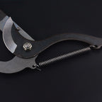 High-Altitude Extension Pruning Shears - My Good Buys - High-Altitude Extension Pruning Shears