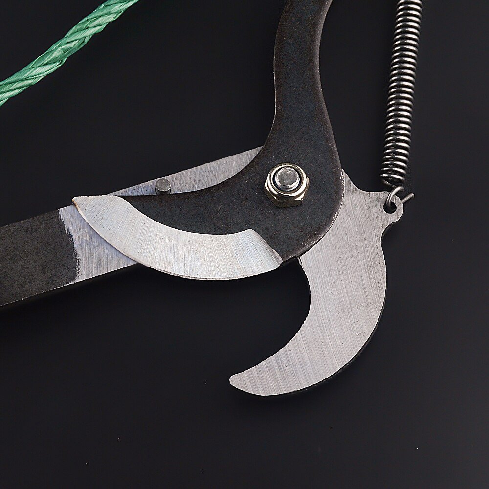 High-Altitude Extension Pruning Shears - My Good Buys - High-Altitude Extension Pruning Shears