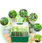 Household New Nursery Pot With Lamp - Plant Seed Starter Tray with Grow Light - My Good Buys - Household New Nursery Pot With Lamp - Plant Seed Starter Tray with Grow Light