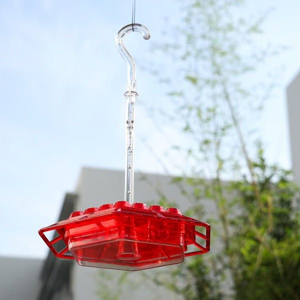 Hummingbird Feeder With Built-In Ant Moat - My Good Buys - Hummingbird Feeder With Built-In Ant Moat