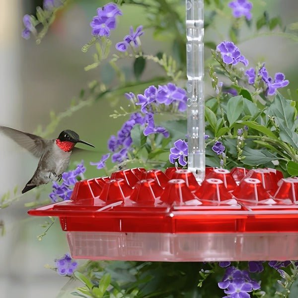 Hummingbird Feeder With Built-In Ant Moat - My Good Buys - Hummingbird Feeder With Built-In Ant Moat