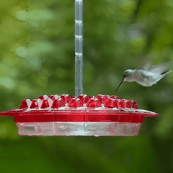 Hummingbird Feeder With Built-In Ant Moat - My Good Buys - Hummingbird Feeder With Built-In Ant Moat