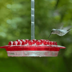 Hummingbird Feeder With Built-In Ant Moat - My Good Buys - Hummingbird Feeder With Built-In Ant Moat
