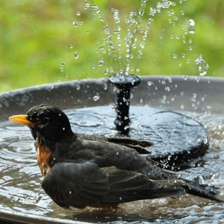 LED Solar Energy Fountain - My Good Buys - LED Solar Energy Fountain