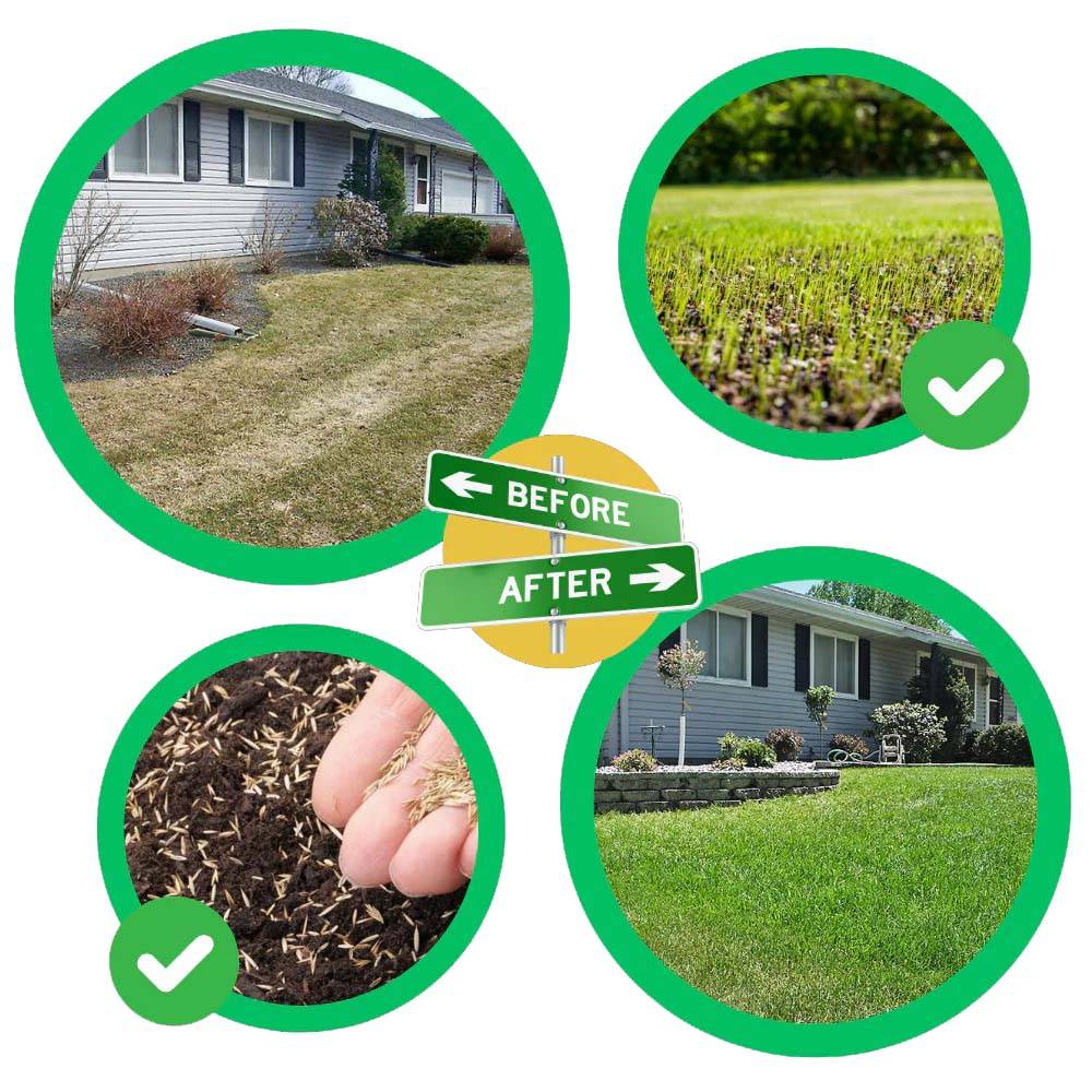 Quick Fix Green Grass Seed Mat - My Good Buys - Quick Fix Green Grass Seed Mat