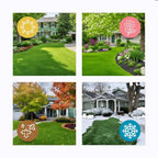 Quick Fix Green Grass Seed Mat - My Good Buys - Quick Fix Green Grass Seed Mat