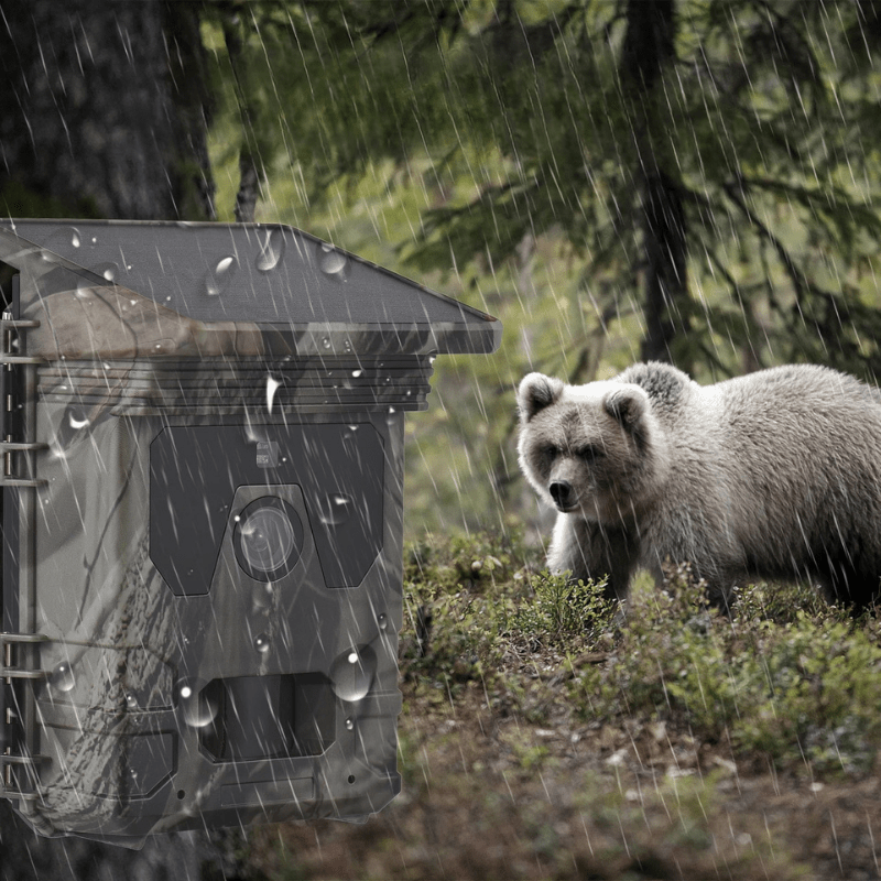 Solar Powered Night Vision Trail Camera - My Good Buys - Solar Powered Night Vision Trail Camera