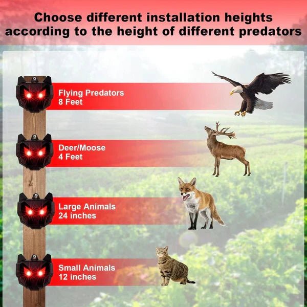 Solar Powered Outdoor Nocturnal Animal Repeller 2PCS - My Good Buys - Solar Powered Outdoor Nocturnal Animal Repeller 2PCS