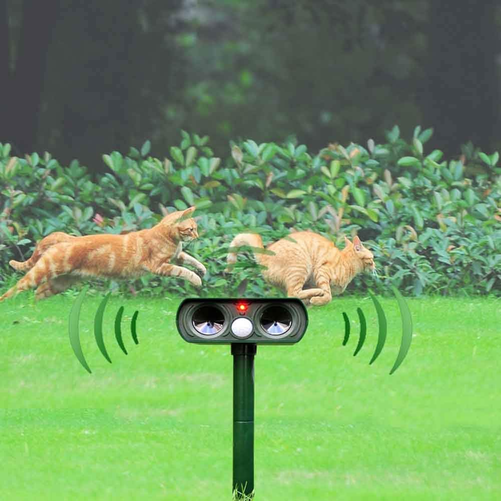 Solar-powered Ultrasonic Animal Repellent - My Good Buys - Solar-powered Ultrasonic Animal Repellent