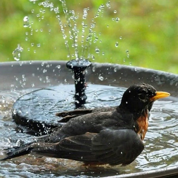Solar Water Fountain for Garden -Eco-Friendly Outdoor Solar-Powered Fountain, Gift for Garden Lovers, Garden Fountain - My Good Buys - Solar Water Fountain for Garden -Eco-Friendly Outdoor Solar-Powered Fountain, Gift for Garden Lovers, Garden Fountain
