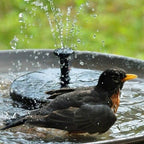 Solar Water Fountain for Garden -Eco-Friendly Outdoor Solar-Powered Fountain, Gift for Garden Lovers, Garden Fountain - My Good Buys - Solar Water Fountain for Garden -Eco-Friendly Outdoor Solar-Powered Fountain, Gift for Garden Lovers, Garden Fountain