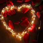 String Solar Lights Outdoor (Clear Cable) - My Good Buys - String Solar Lights Outdoor (Clear Cable)