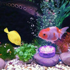 Submersible LED Lights - My Good Buys - Submersible LED Lights