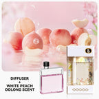 USB Rechargeable Aromatherapy Diffuser - My Good Buys - USB Rechargeable Aromatherapy Diffuser