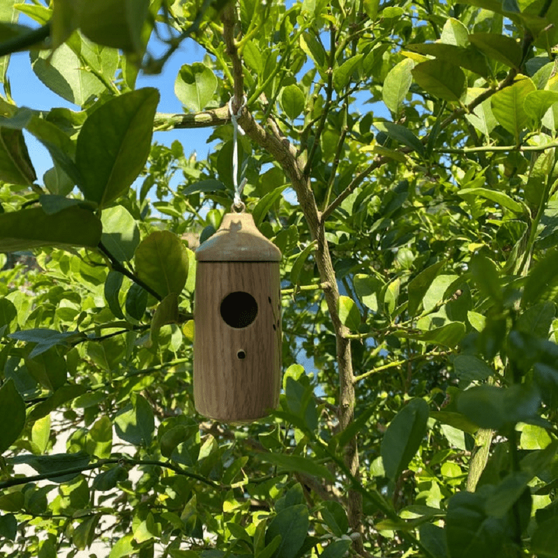 Wooden Hummingbird House - Gift for Natural Lovers - My Good Buys - Wooden Hummingbird House - Gift for Natural Lovers