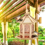 Wooden Transparent Household Bird Feeder - My Good Buys - Wooden Transparent Household Bird Feeder