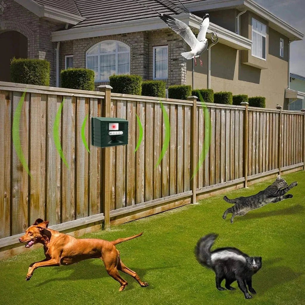 Woodpecker Ultrasonic Repeller for Effective Bird Control - Get Rid of Woodpeckers - My Good Buys - Woodpecker Ultrasonic Repeller for Effective Bird Control - Get Rid of Woodpeckers
