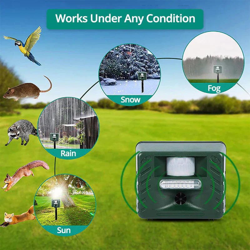 Woodpecker Ultrasonic Repeller - My Good Buys - Woodpecker Ultrasonic Repeller